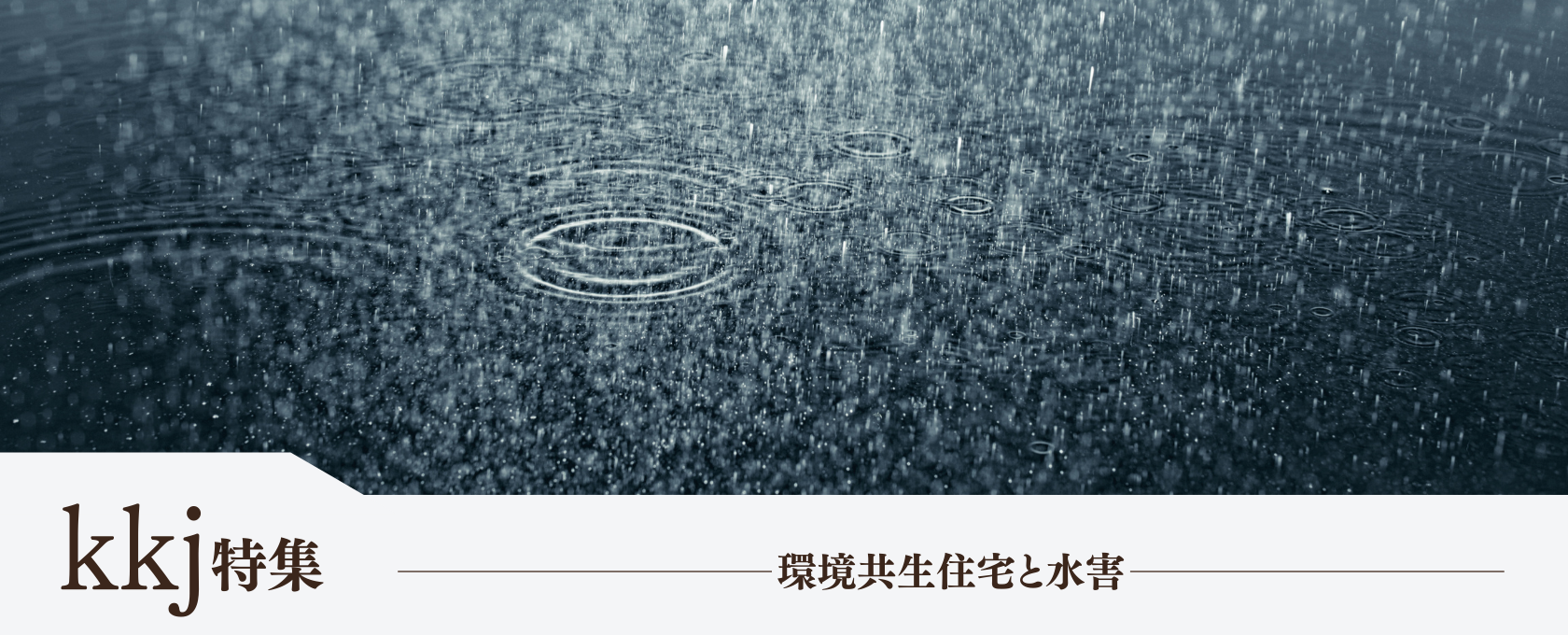 環境共生住宅と水害